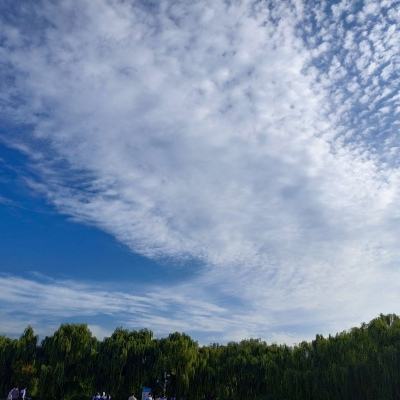天使幻想梦幻童话卡牌手游(暂未上线)v1.0.0 安卓版