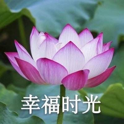 暗魔领主红包版下载